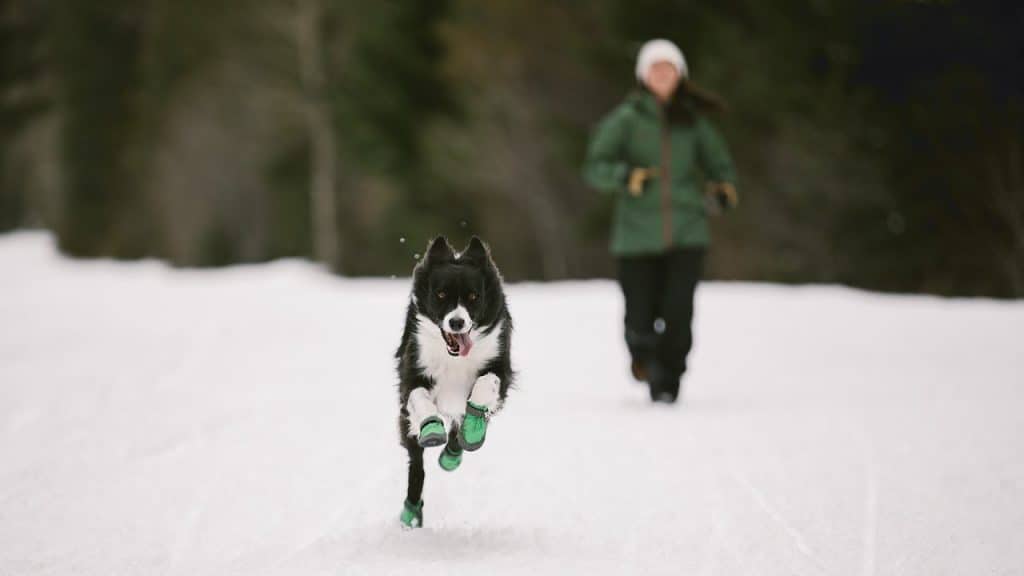 best boots for dog walking in winter