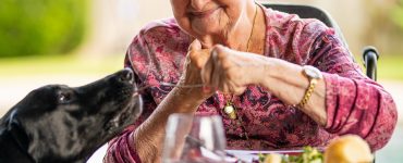 senior woman eats at table with dog standing by