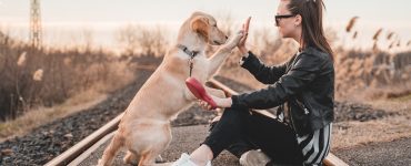 dog and woman connecting on deeper level