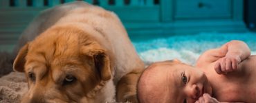 dog on floor next to baby