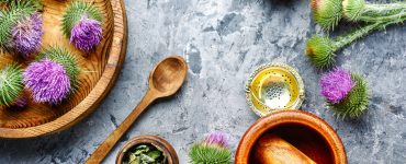 milk thistle for dogs