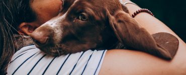 dog buries head in you