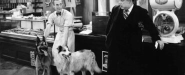dogs allowed in store