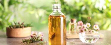 tea tree oil toxic to dogs