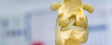 dog acl joint