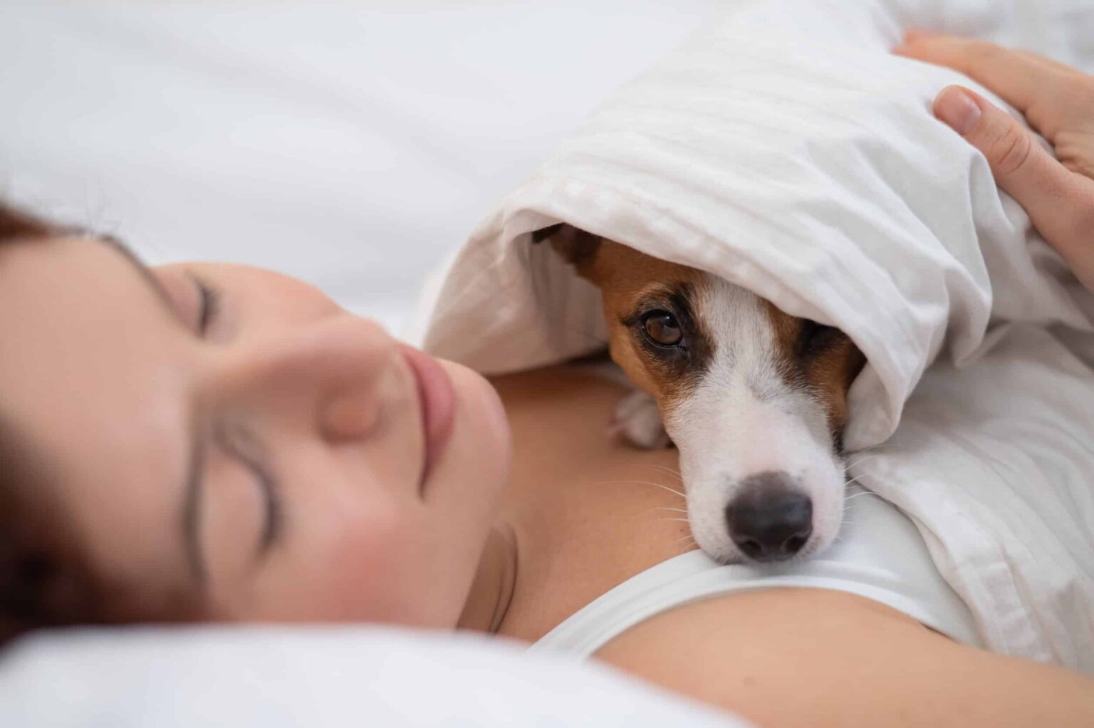 Why Does My Dog Sleep On Me and Not My Husband? Superb Dog